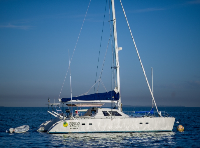 endless summer catamaran