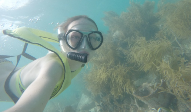 key largo reef snorkeling